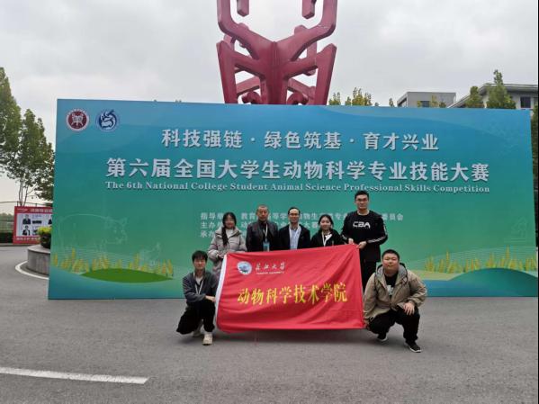 更多教学工作