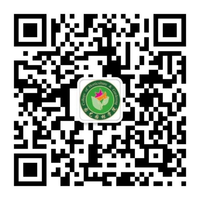 湖北省荆州市荆秘路88号 邮编