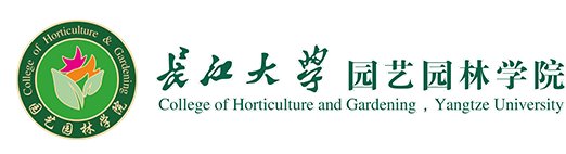 世界杯官方端网站登录入口-世界杯