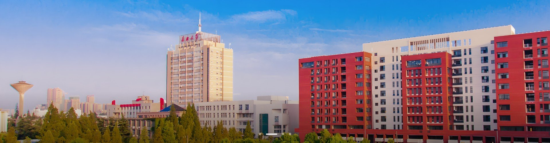 学术活动